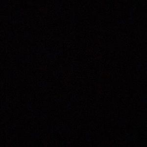 Meet your Posher, Hayley